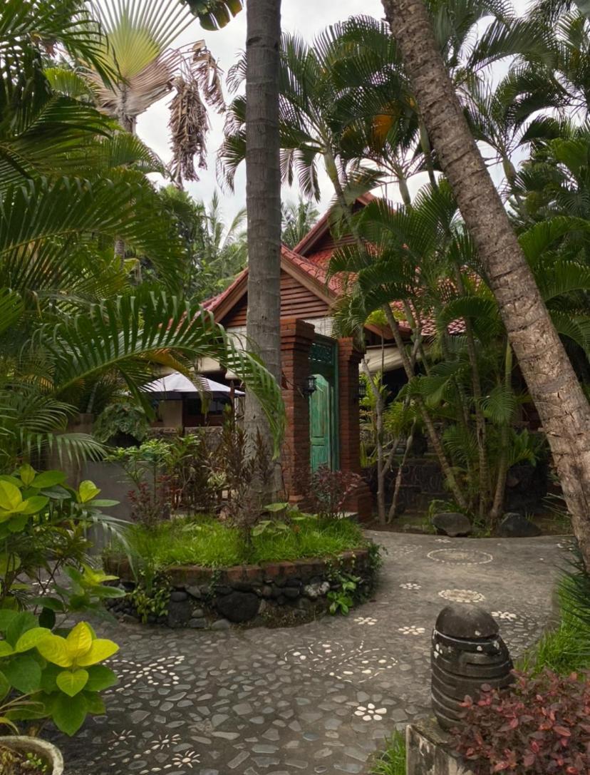 Villa Selina Tejakula Exterior photo